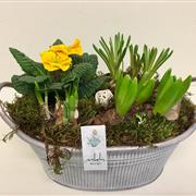 Florists Choice Planted Basket