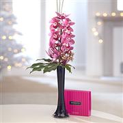 Simply Orchid Gift Set