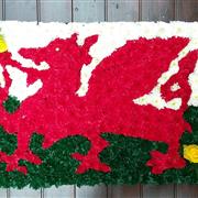 Flag - Welsh