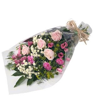 Elegance, Lilies