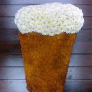 Beer Glass