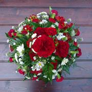 Posy - Red &amp; White