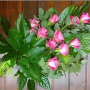 Tied Sheaf - Pink Rose