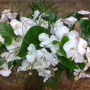Coffin Spray - Phaelenopsis Orchid