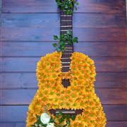 Guitar - Classic