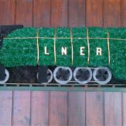 Locomotive