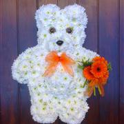 Teddy Bear - White &amp; Orange