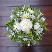 Posy - Green &amp; White