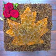 Maple Leaf
