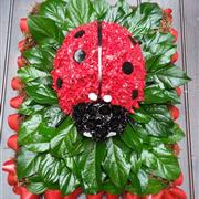 Ladybird