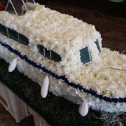 Cruiser Boat