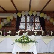  Full Balloon Arch