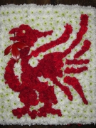 Liver Bird