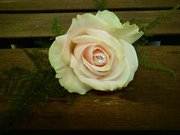 Rose Buttonhole