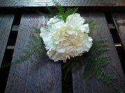 Carnation Buttonhole