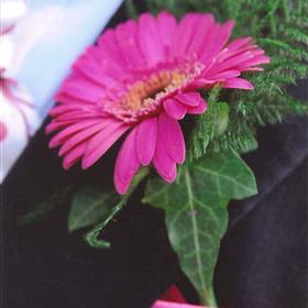 fwthumb03emmamartin.jpg