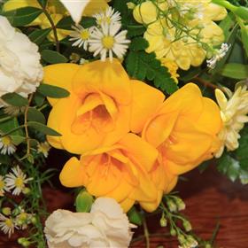 fwthumb04phyllisjane.jpg