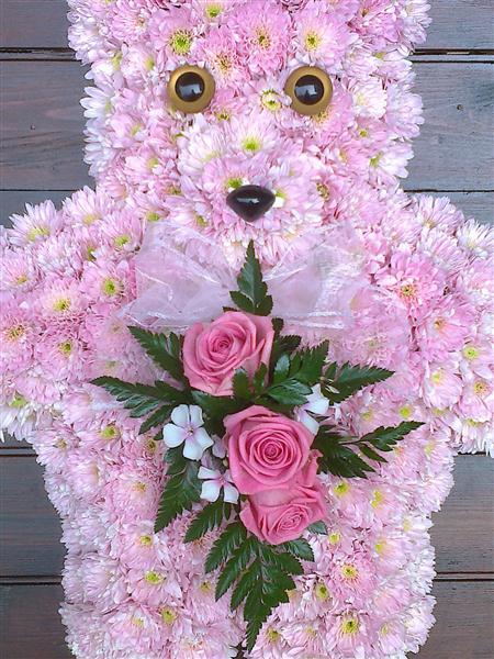Teddy Bear Pink
