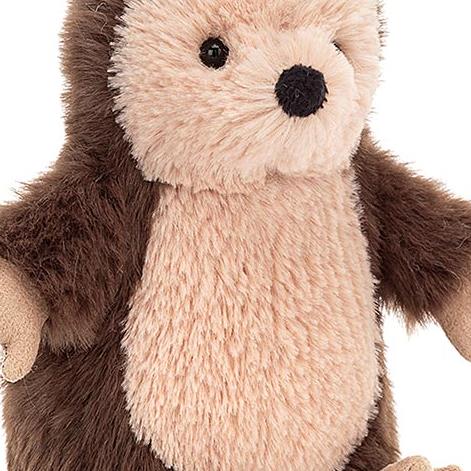 Nippet Hedgehog Bedford Florist Florist